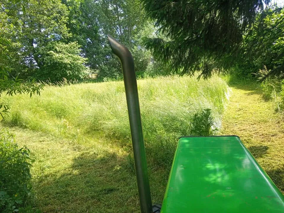 Forstmulchen, Wurzelfräsen und Bodenbearbeitung (4)
