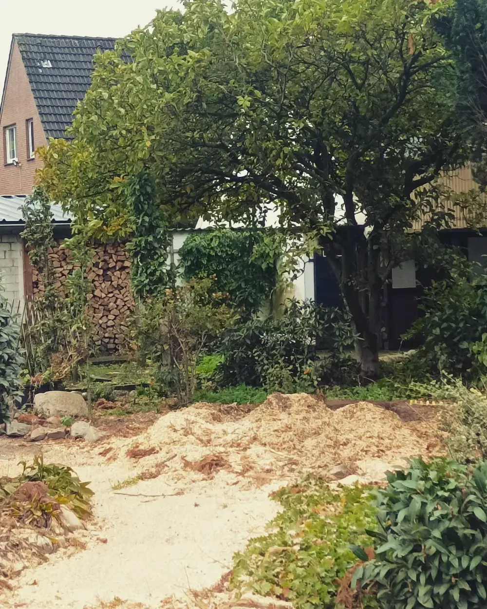 Aus dem Alltag von Rohlf Forstservice (32)