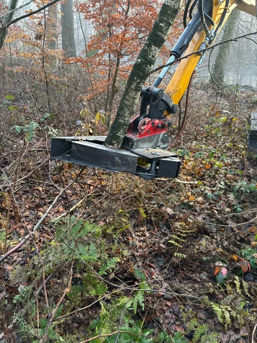 Seilklettertechnik und Problembaumfällung durch Rohlf Forstservice (48)