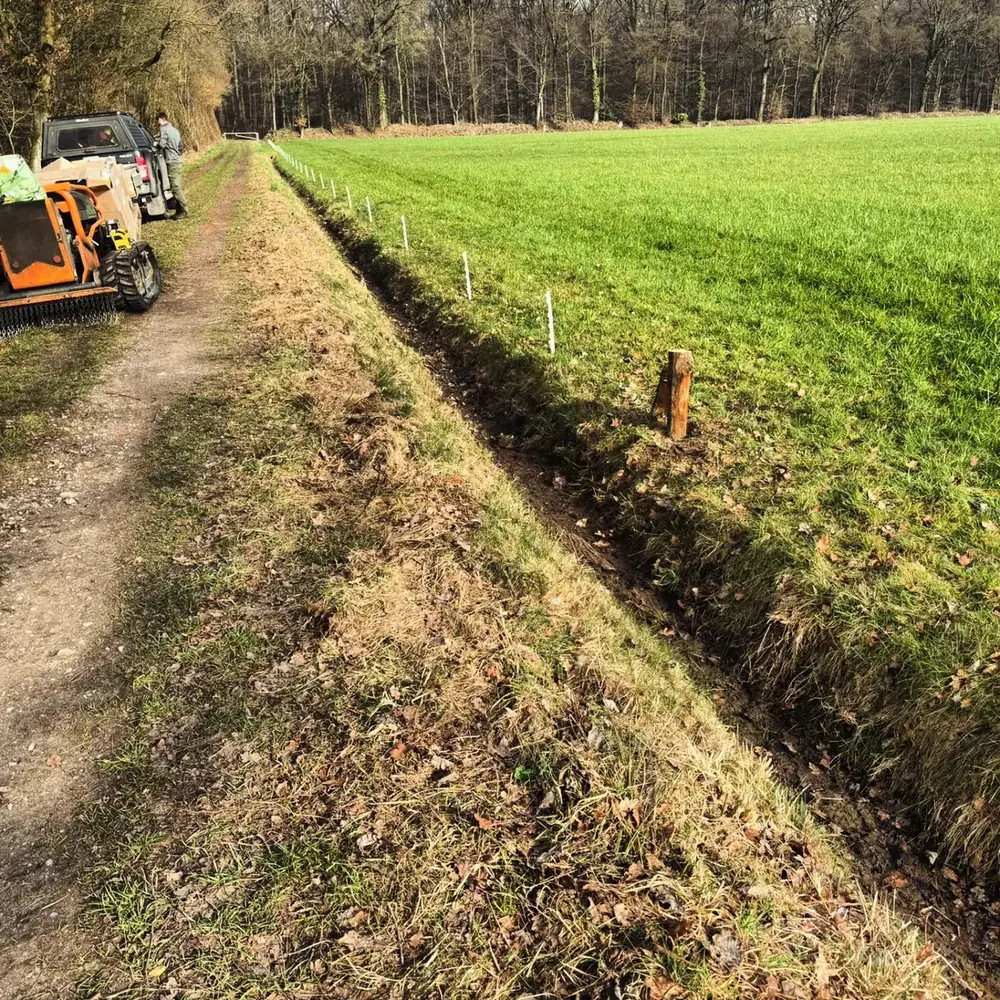 Forstmulchen, Wurzelfräsen und Bodenbearbeitung (45)