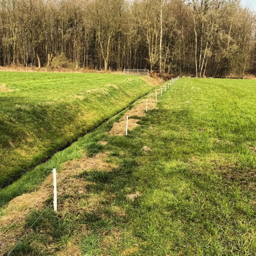 Forstmulchen, Wurzelfräsen und Bodenbearbeitung (46)