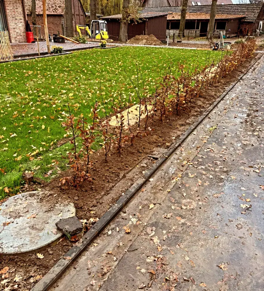 Heckenpflege, Mäharbeiten und Landschaftspflege (20)