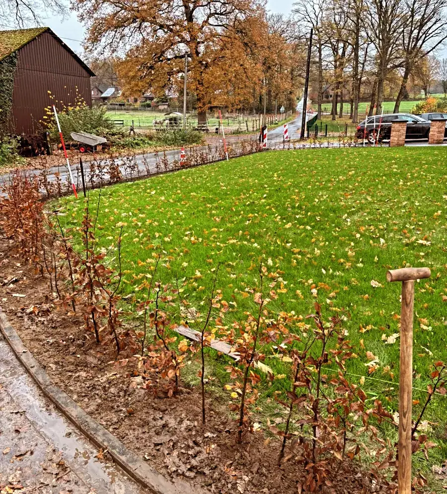Heckenpflege, Mäharbeiten und Landschaftspflege (21)