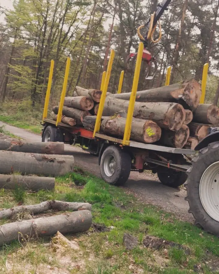 Holzernte und Rückearbeiten mit dem Kranschlepper (33)