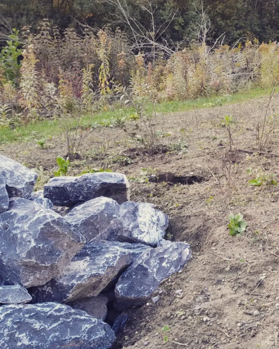 Heckenpflege, Mäharbeiten und Landschaftspflege (34)
