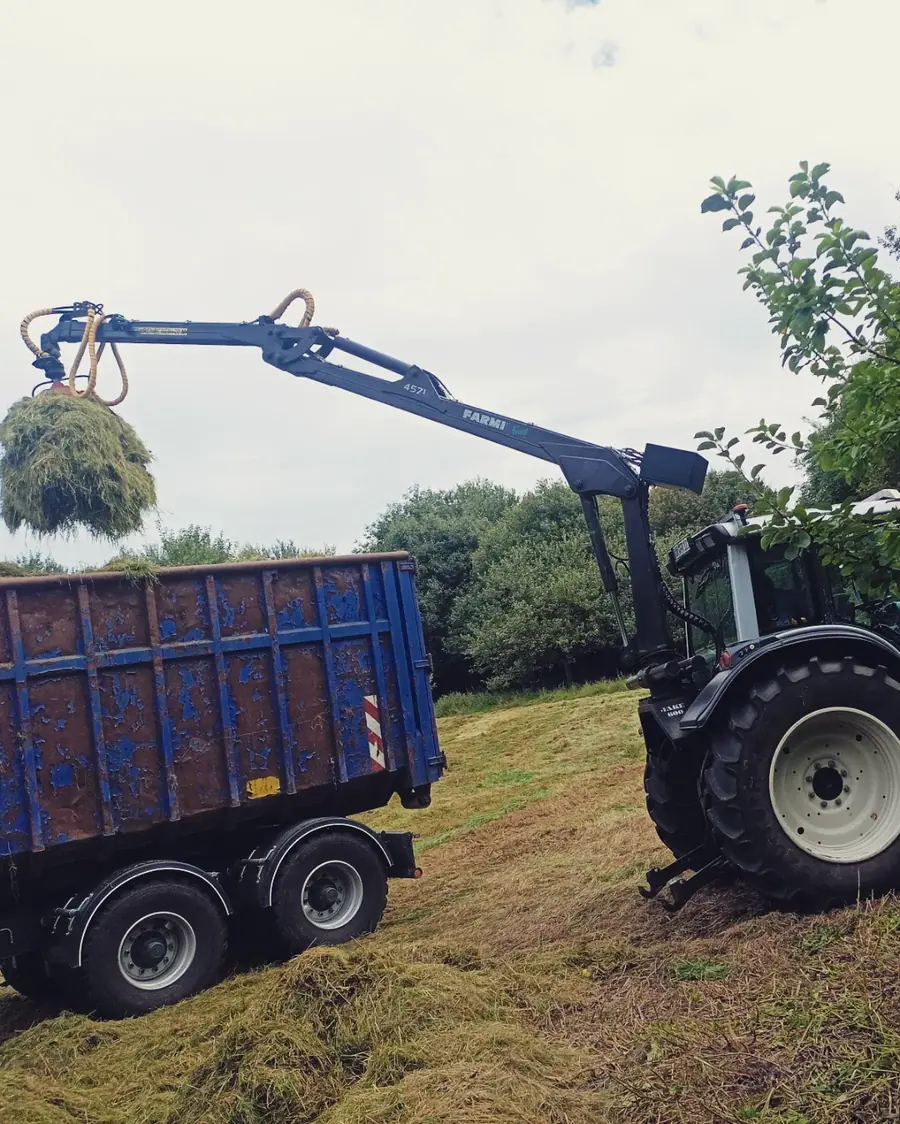 Wege freimachen — Rohlf Forstservice