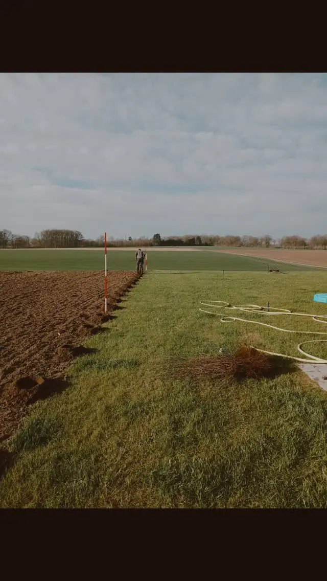 Heckenpflege, Mäharbeiten und Landschaftspflege (36)