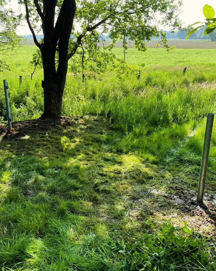 Heckenpflege, Mäharbeiten und Landschaftspflege (22)