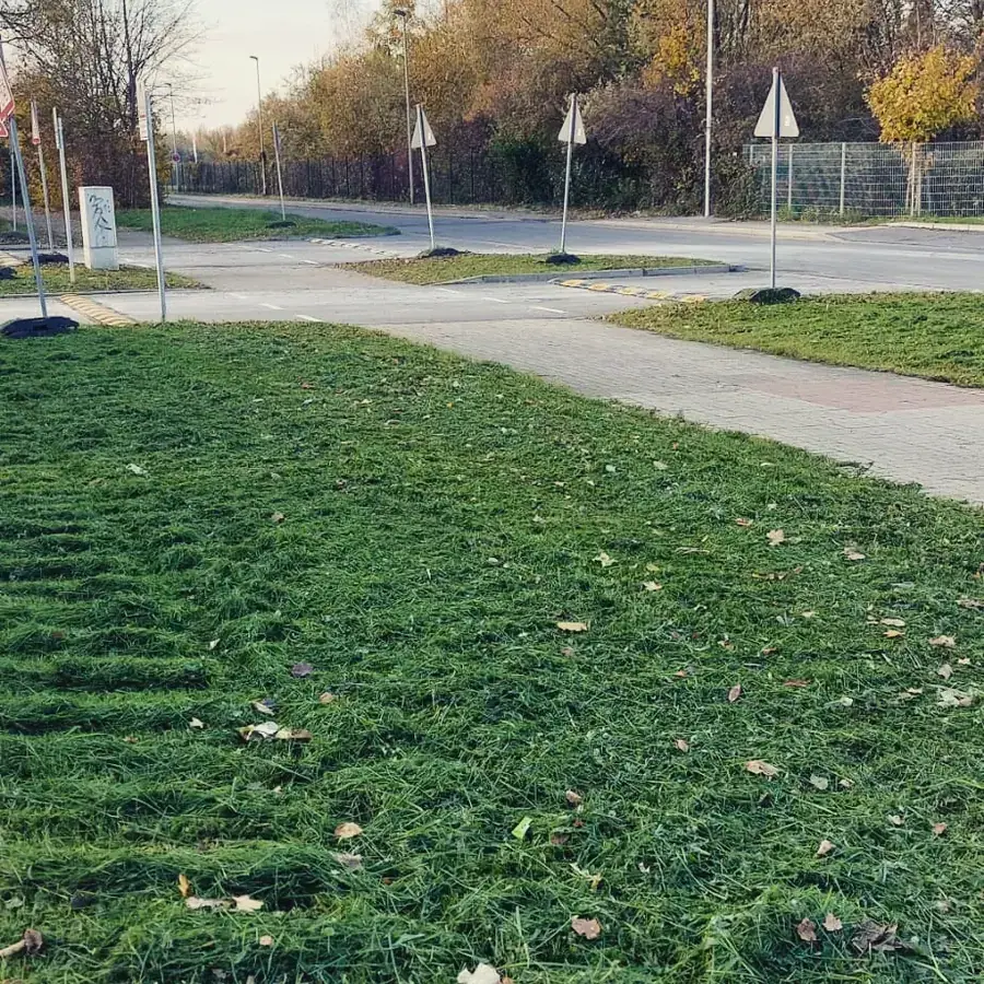 Heckenpflege, Mäharbeiten und Landschaftspflege (26)