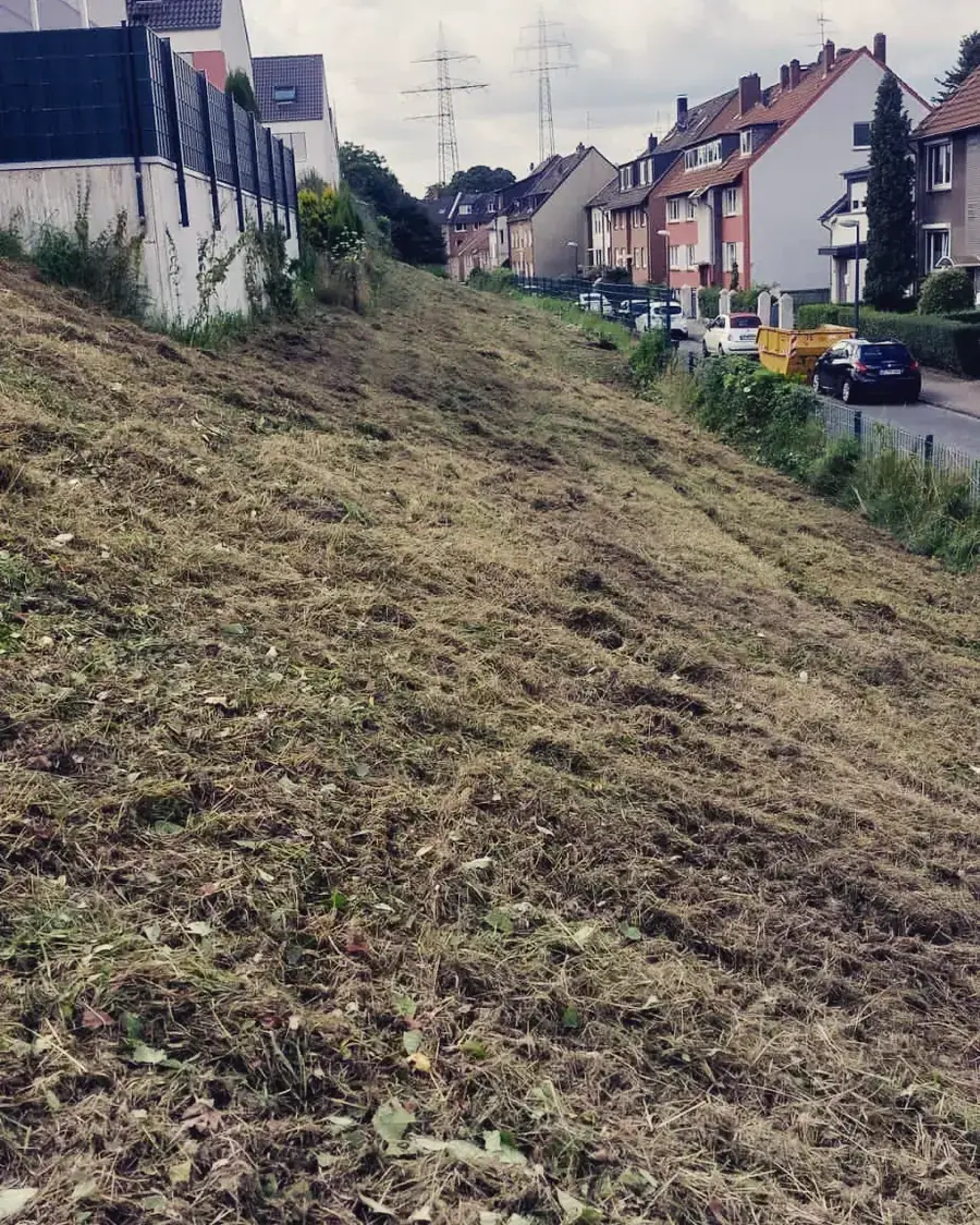 Heckenpflege, Mäharbeiten und Landschaftspflege (27)