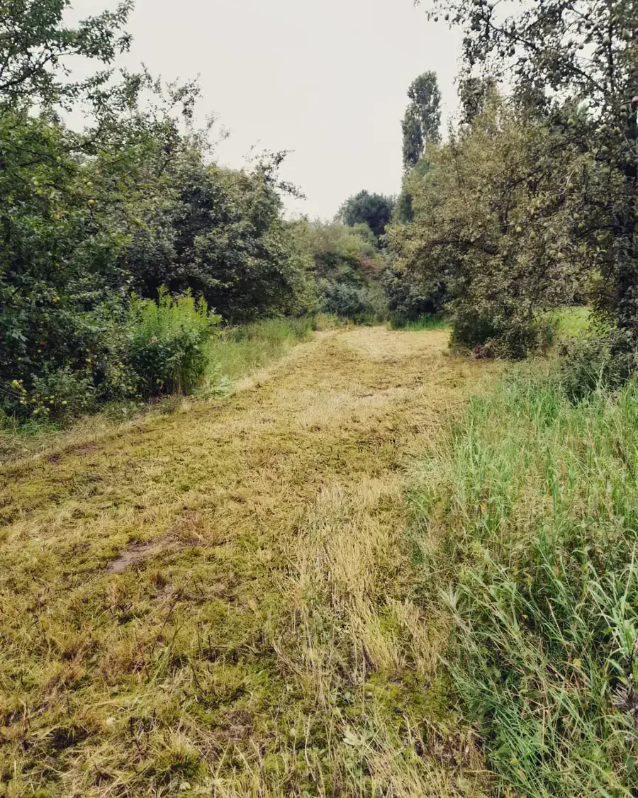 Heckenpflege, Mäharbeiten und Landschaftspflege (30)