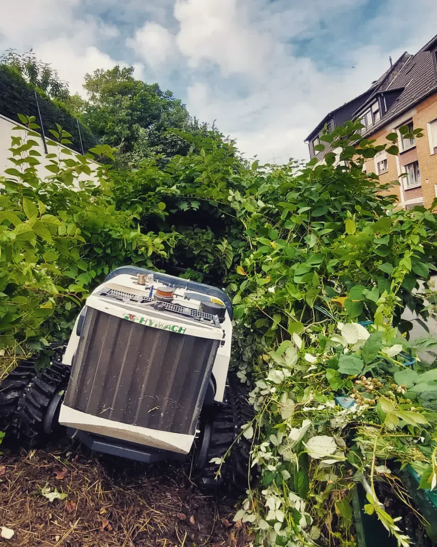 Ferngesteuerte Mulchraupe