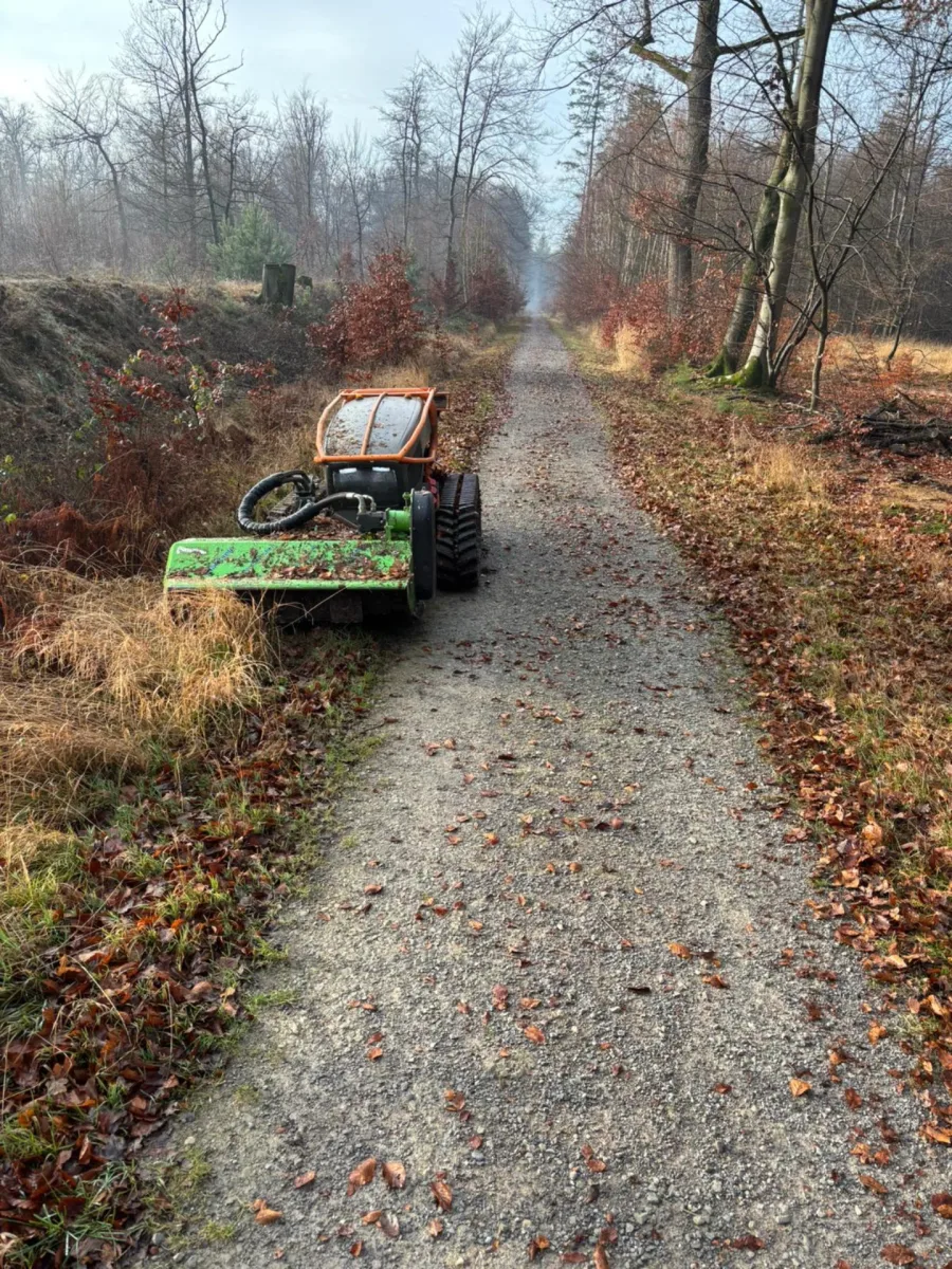 Forstmulchen & Flächenräumung — Auch am Steilhang, Rohlf Forstservice