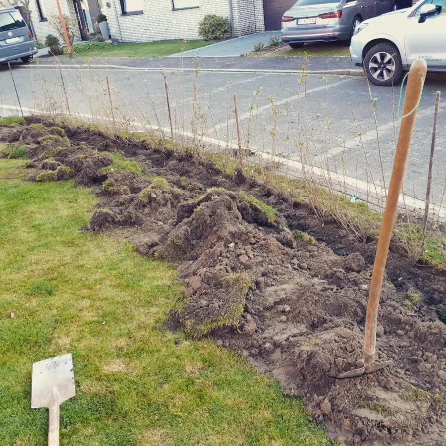 Maschinelle Pflanzung und Kulturpflege im Münsterland (11)