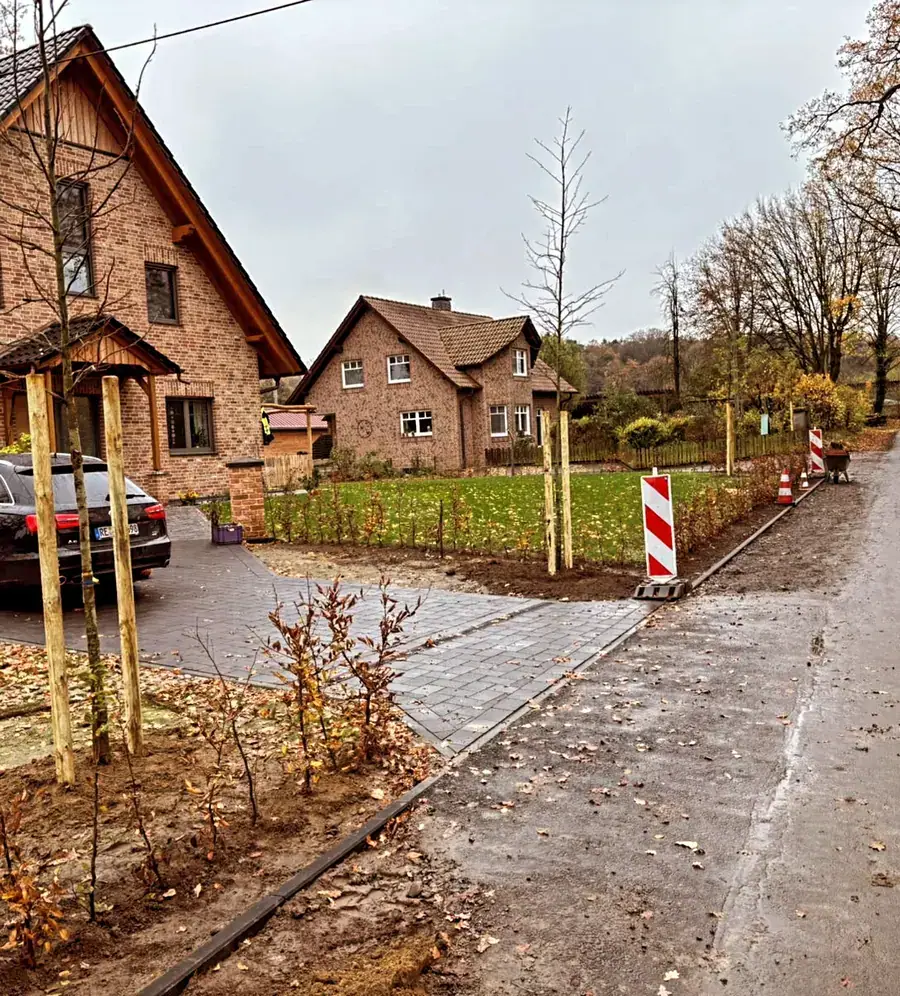 Maschinelle Pflanzung und Kulturpflege im Münsterland (17)