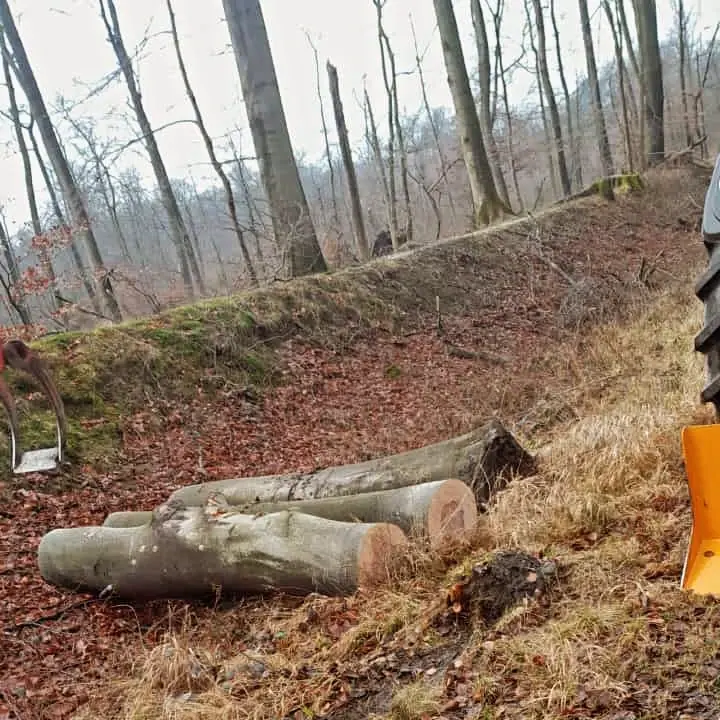 Holzernte und Rückearbeiten mit dem Kranschlepper (38)