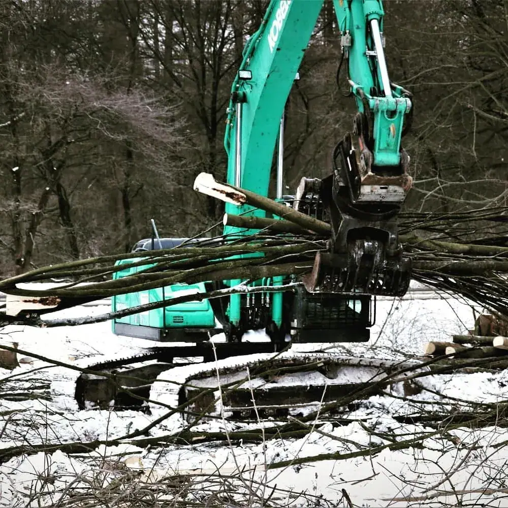 Seilklettertechnik und Problembaumfällung durch Rohlf Forstservice (58)