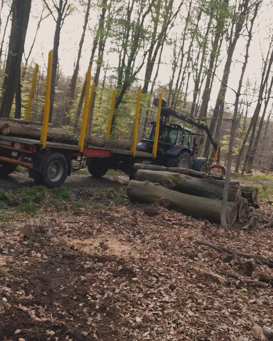 Holzernte und Rückearbeiten mit dem Kranschlepper (15)
