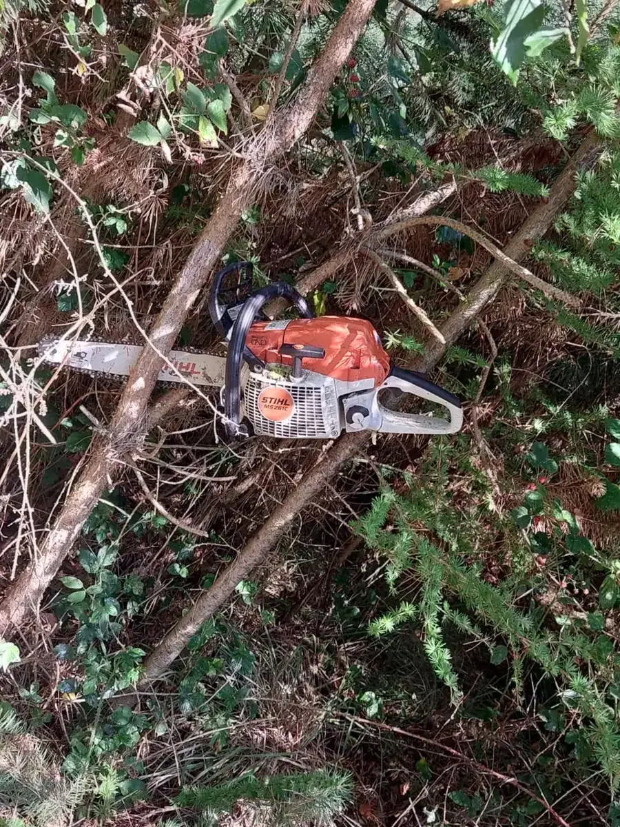 Holzernte und Rückearbeiten mit dem Kranschlepper (23)
