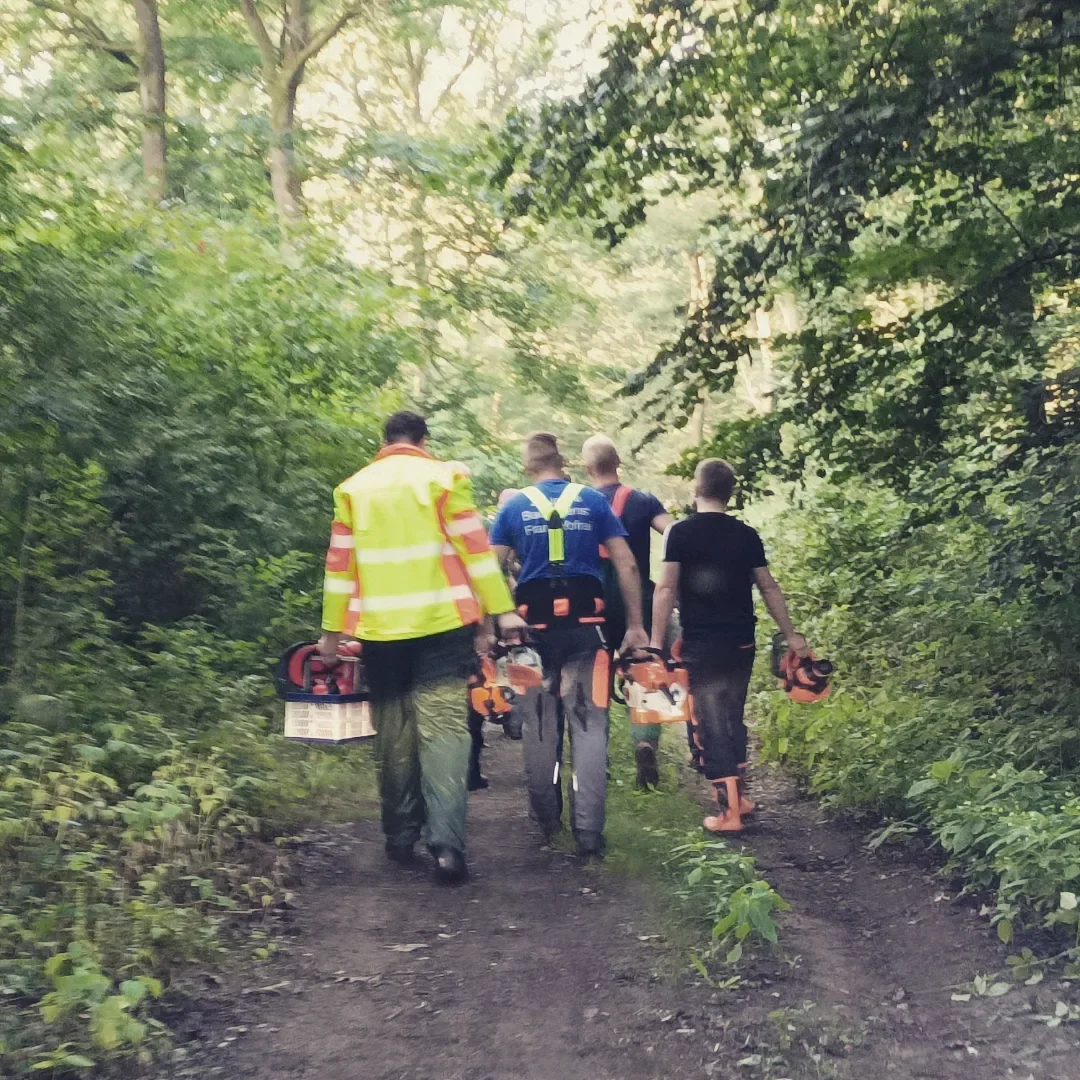 Das Team von Rohlf Forstservice mit Motorsägen auf dem Weg zum Einsatz