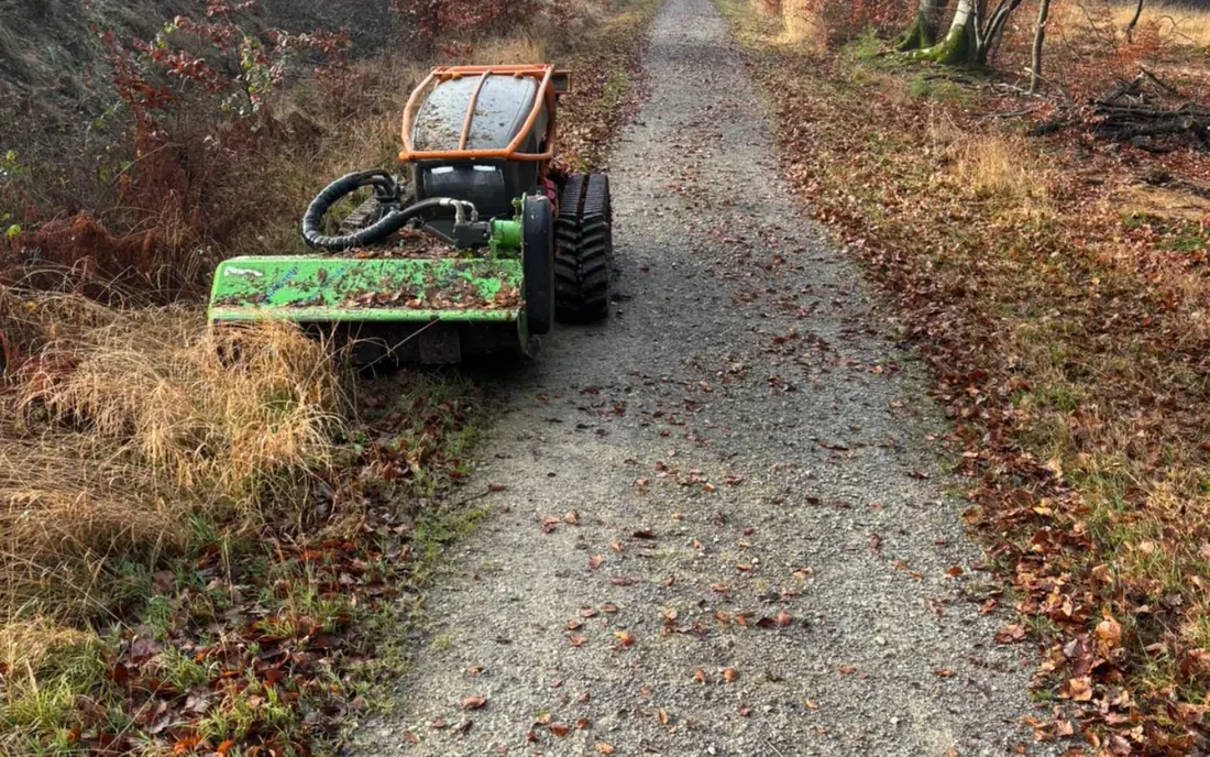 Wege freimachen — Rohlf Forstservice