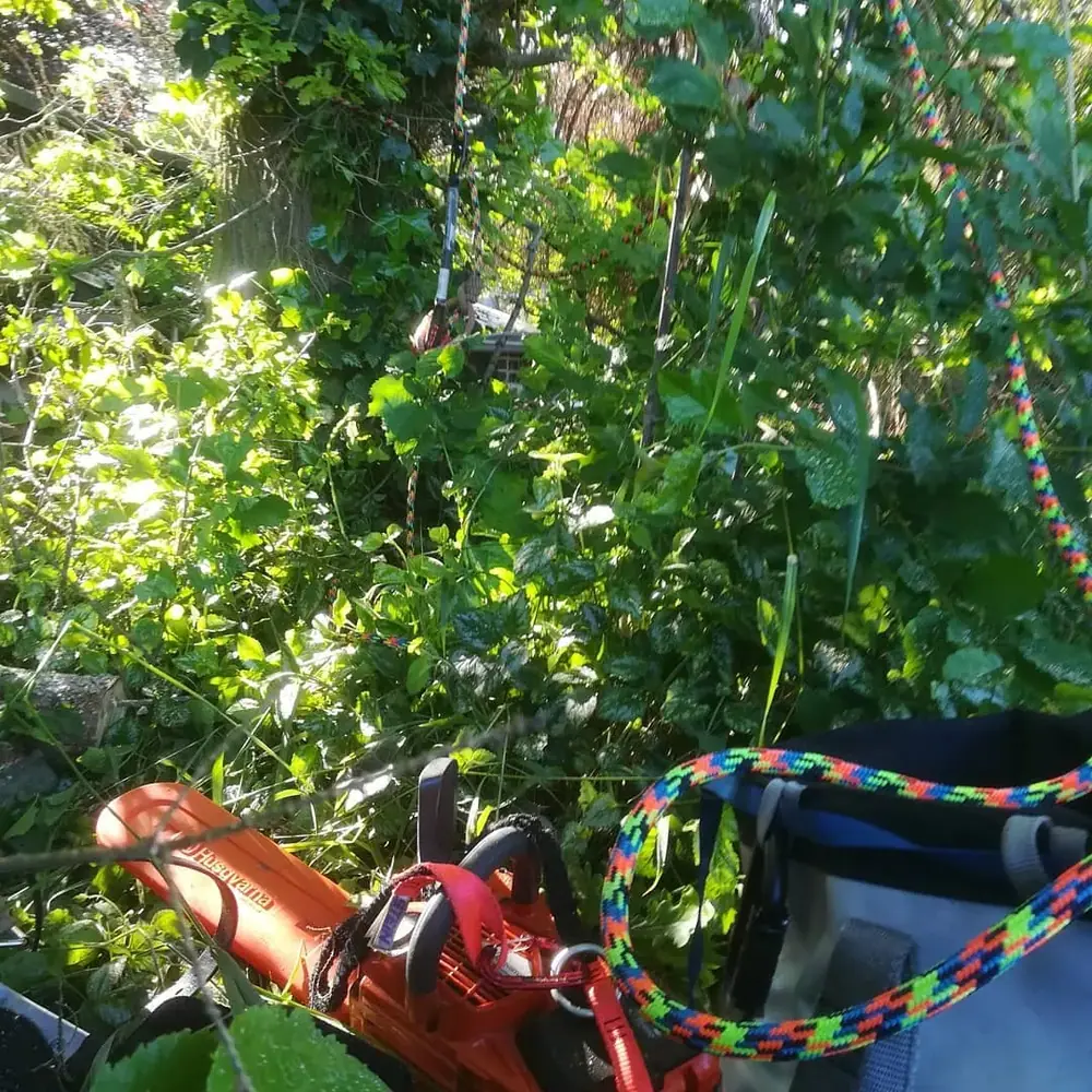 Der Maschinenpark von Rohlf Forstservice (31)