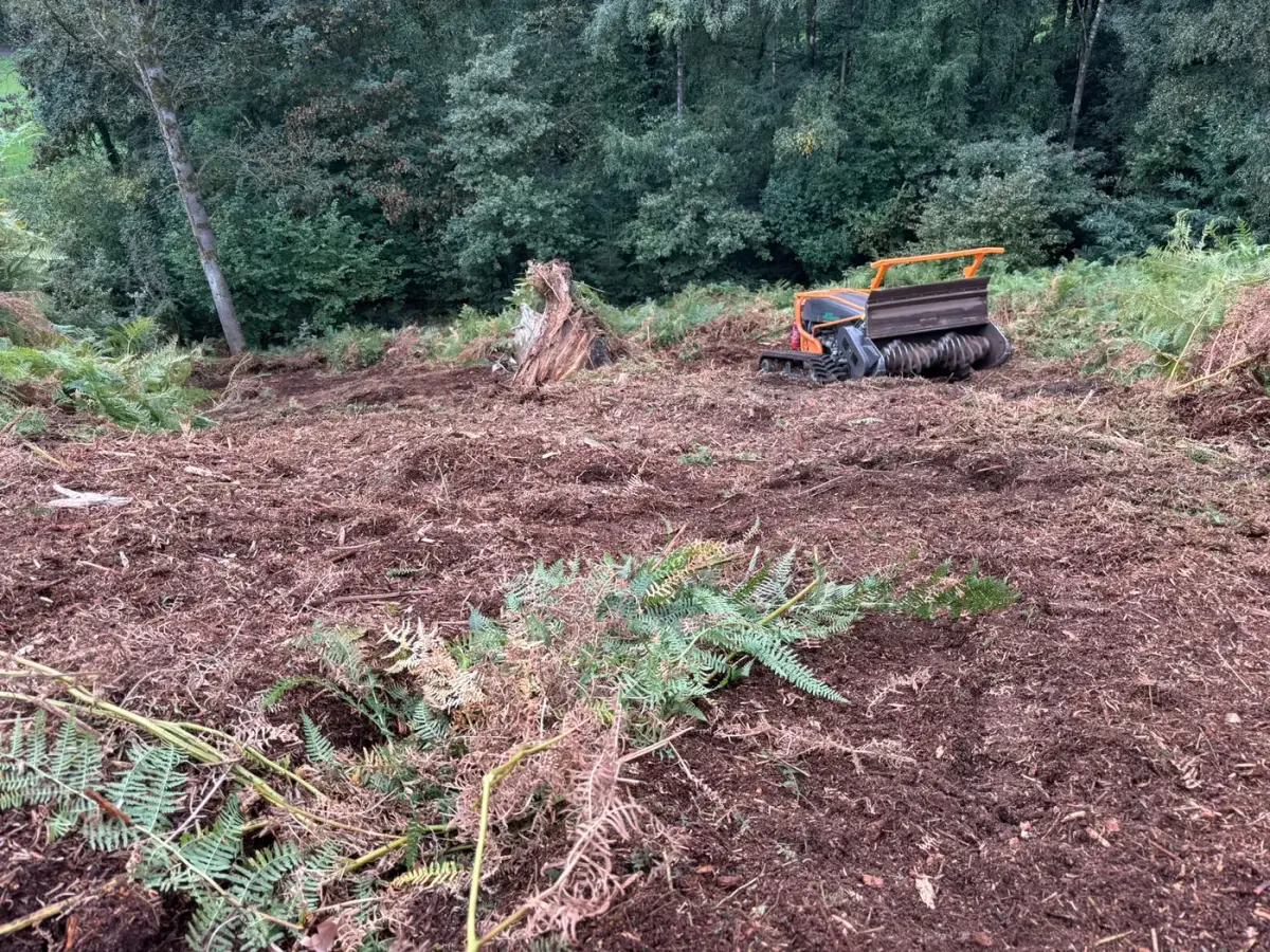 Aktuelle Einsätze von Rohlf Forstservice mit dem neuen Valtra-Kranschlepper und der ferngesteuerten Mulchraupe (13)